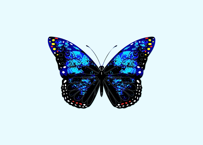Blue butterfly