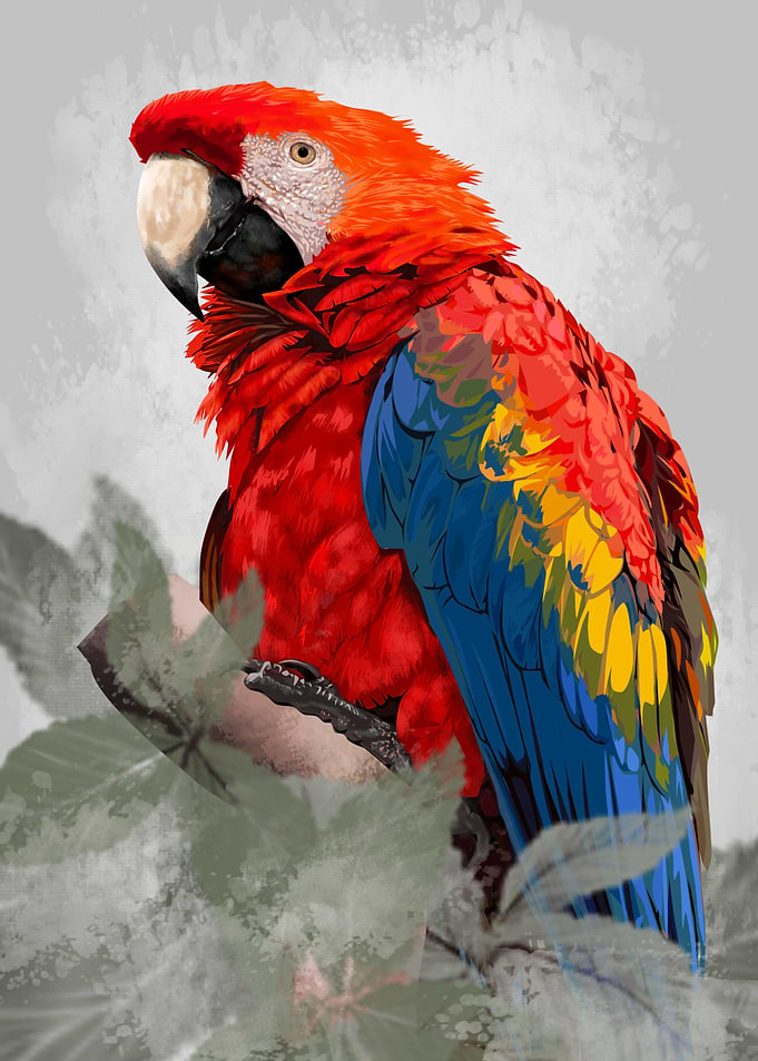 Tropical Parrot