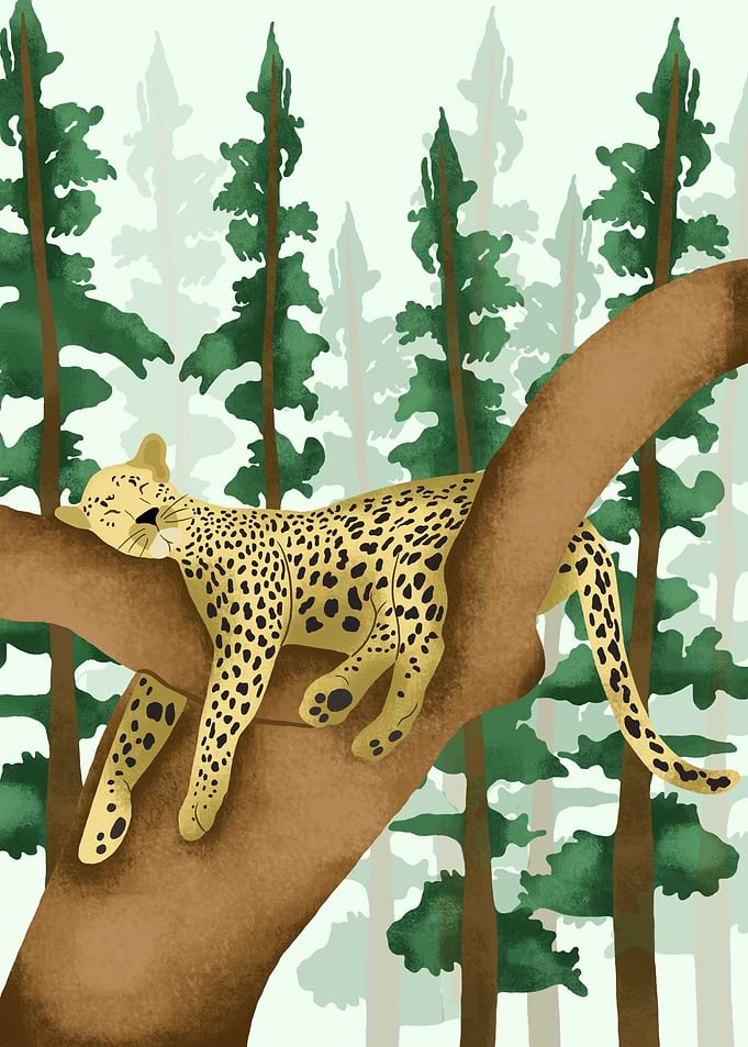 Leopard Animals