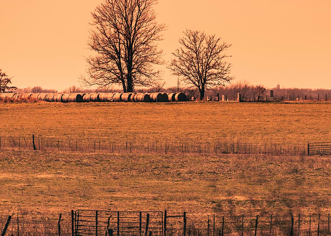 Farm Landscape
