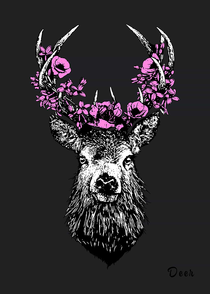 Deer Animal
