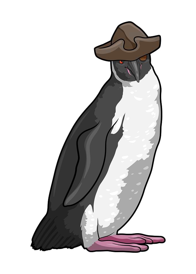Penguin Pirate Pirate hat