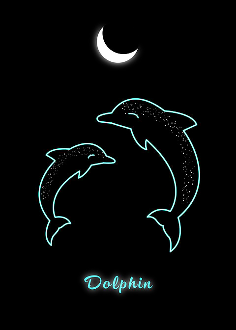 Dolphins Poster