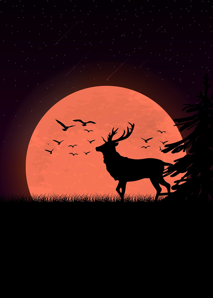 Deer Animals