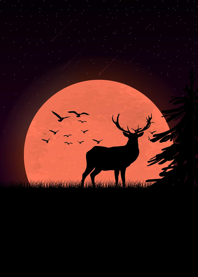 Deer Animals