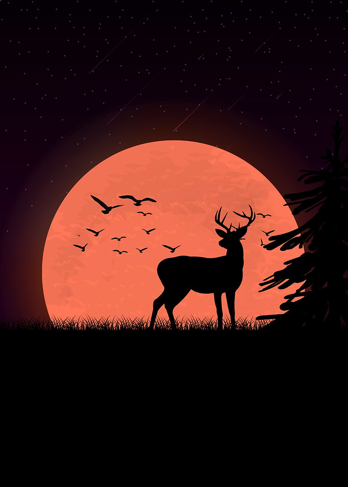 Deer Animals
