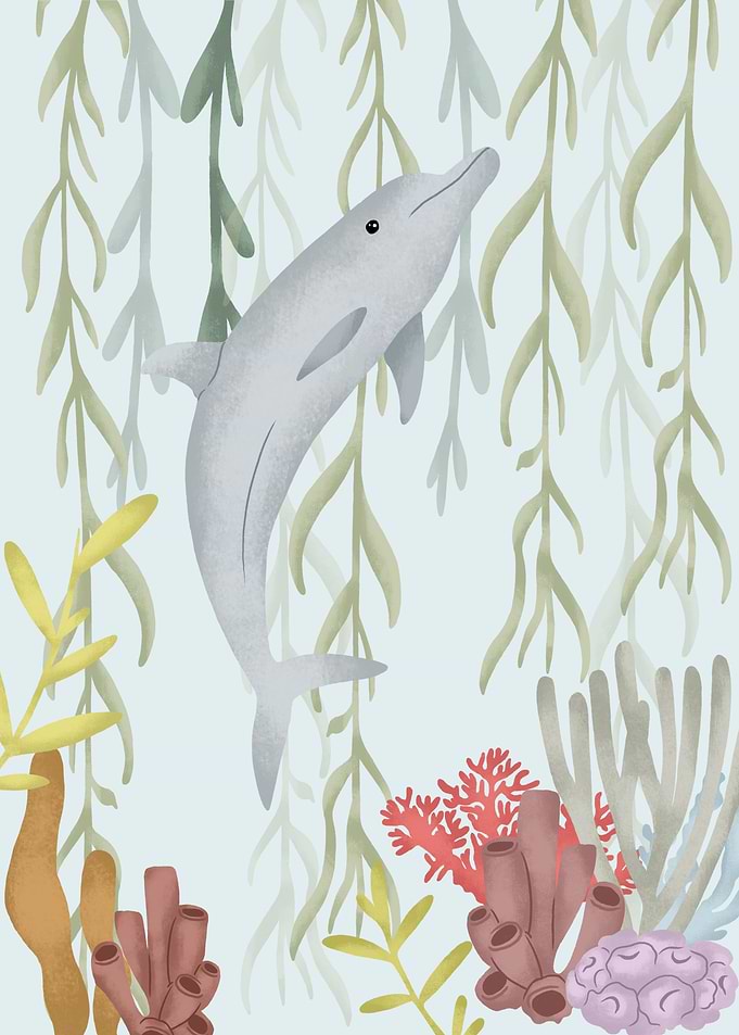 Dolphin Animals