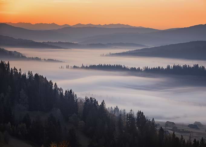 Autumn misty morning, view