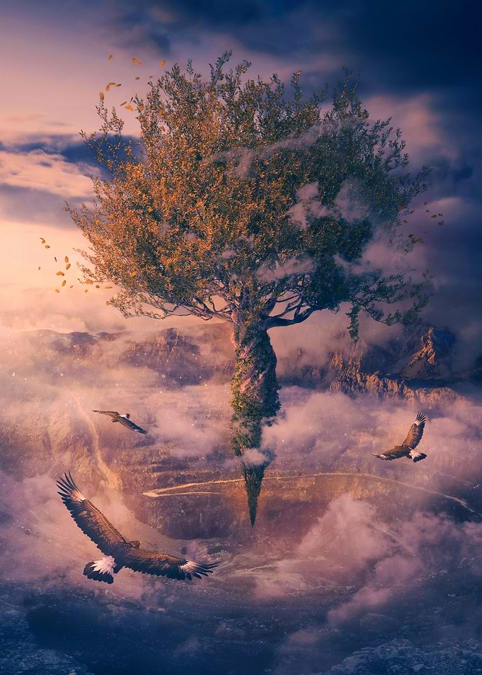 VOYAGE OF DESTINY