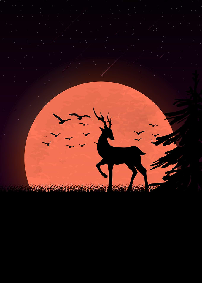 Deer Animals