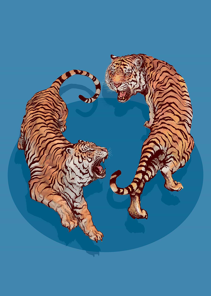 TIGERS ON THE PROWL