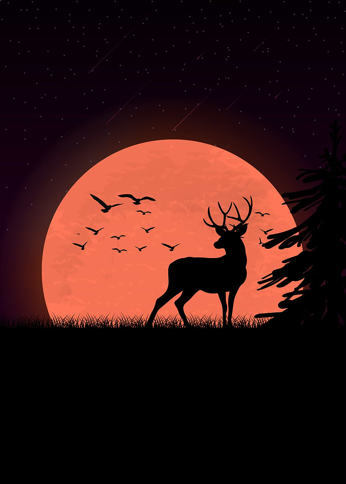 Deer Animals