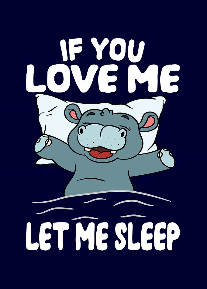 Love Me Let Me Sleep