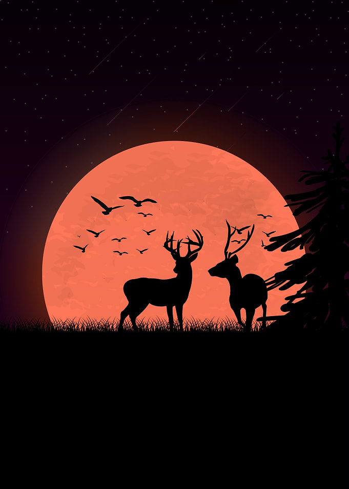 Deer Animals