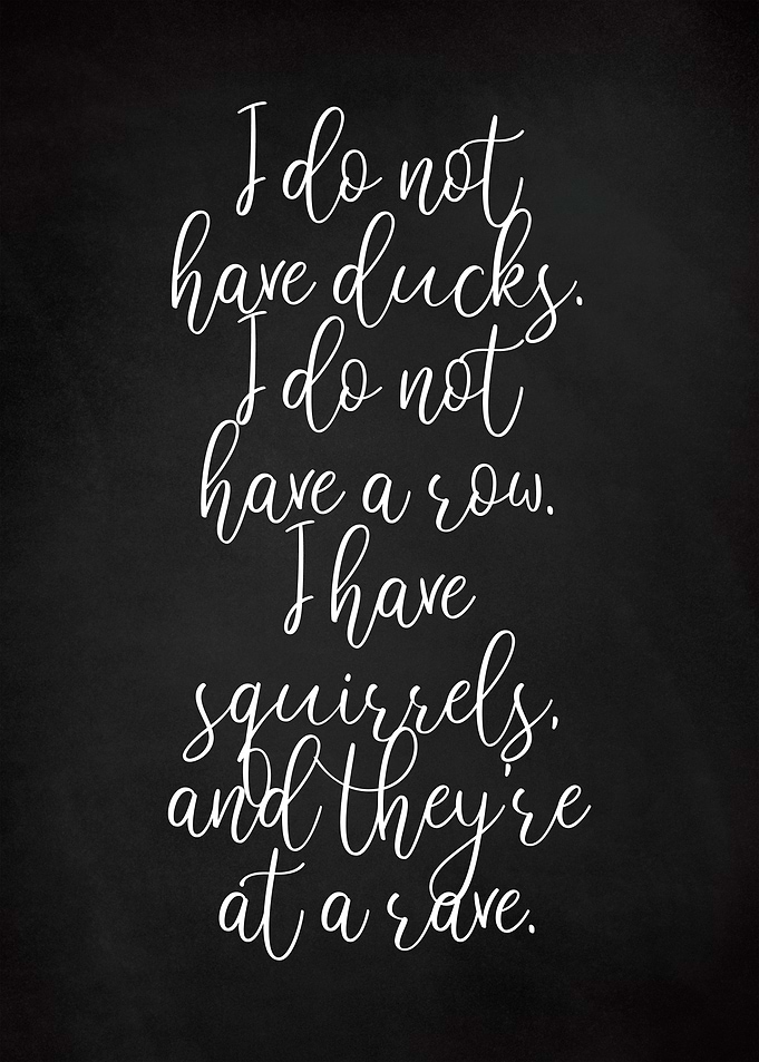 Funny Ducks Black Script