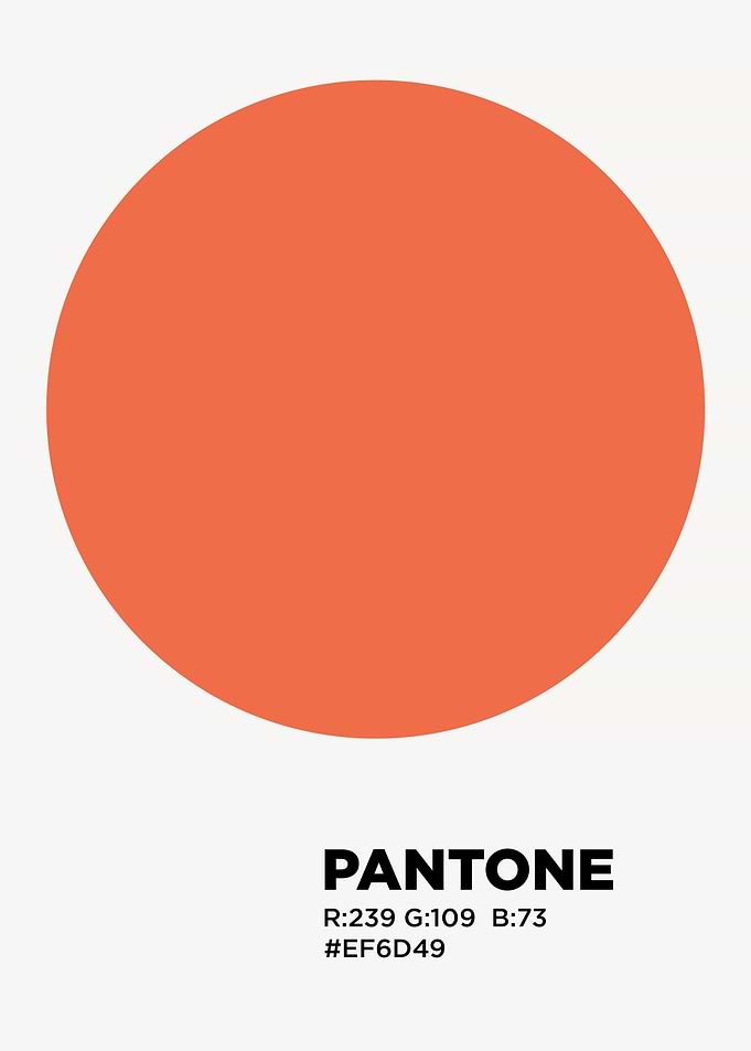 color palette