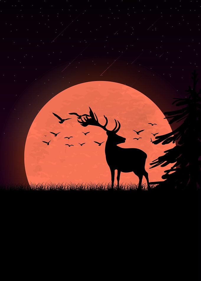 Deer Animals