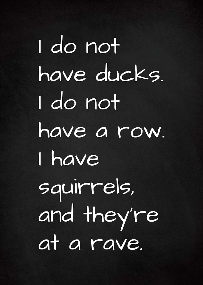 Funny Ducks Black Sketch