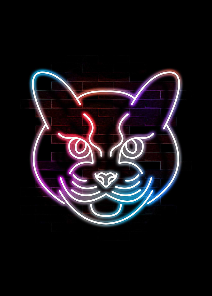 cat neon art