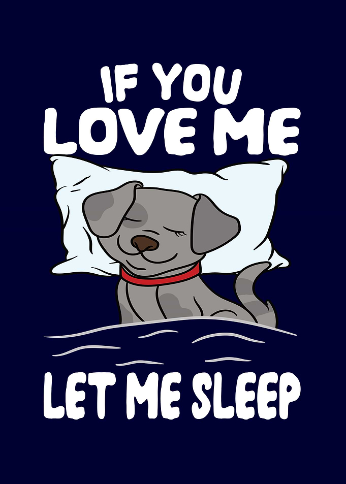 Love Me Let Me Sleep