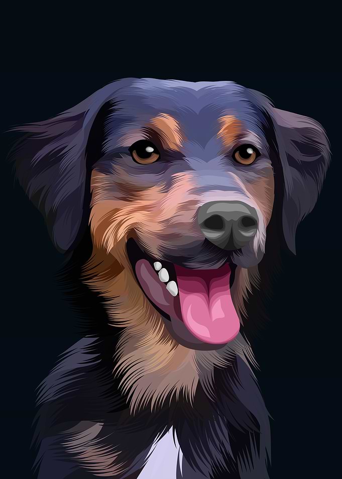 PET Dog Colorful