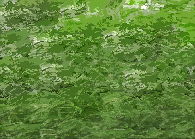 Greenary Memories