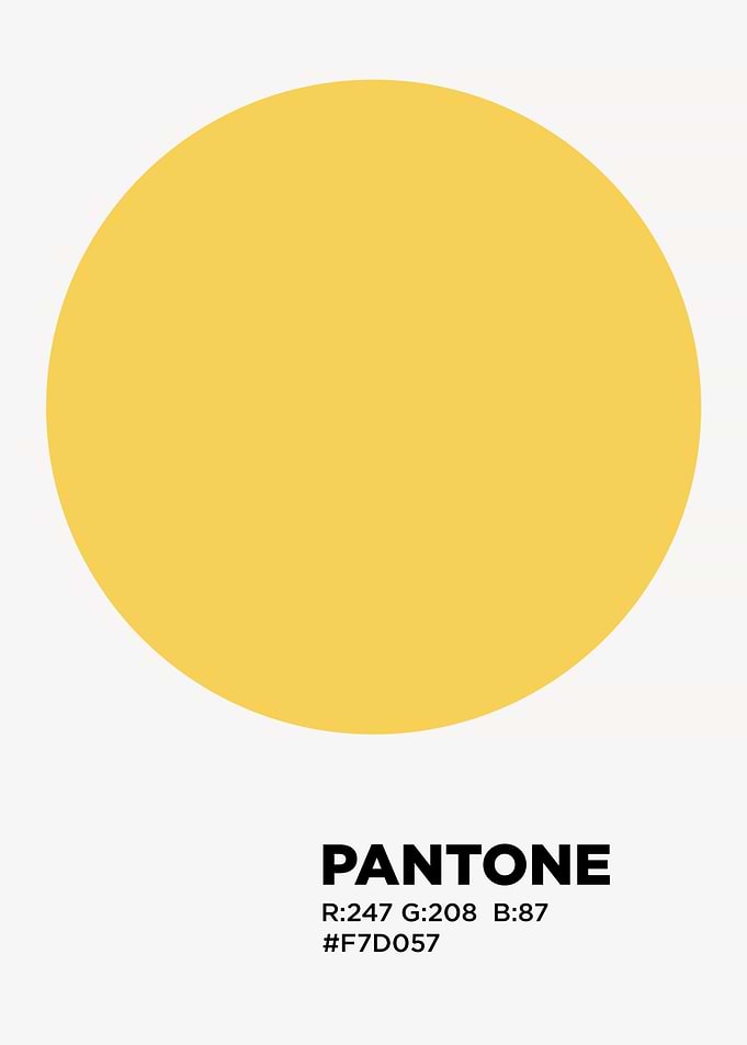 color palette