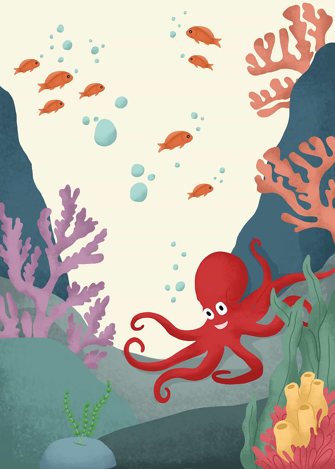 Octopus Animals