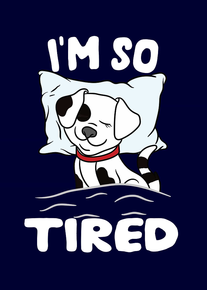 Im so Tired Sleeping Dog