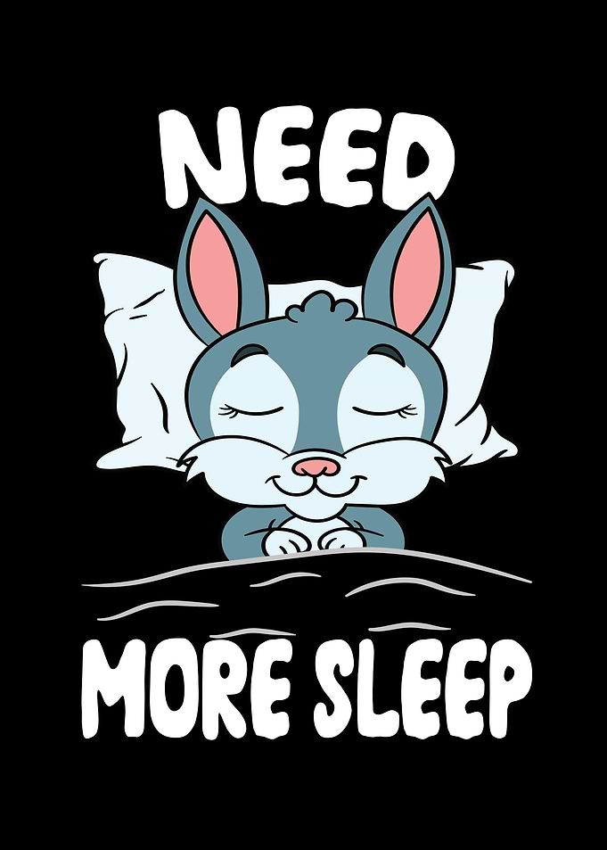 Need more Sleep Rabbit
