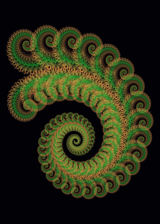 Fraktale Art 1