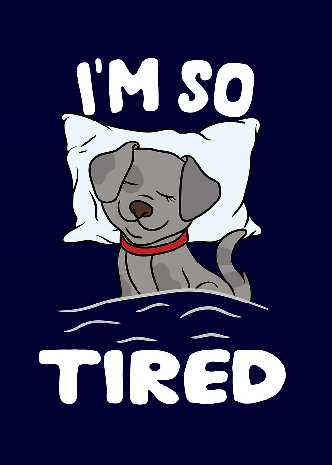 Tired Sleeping Dog