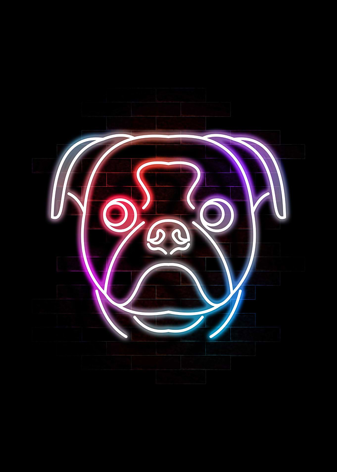pug dog neon art