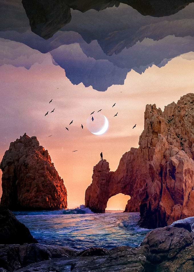 Birds In The Sky