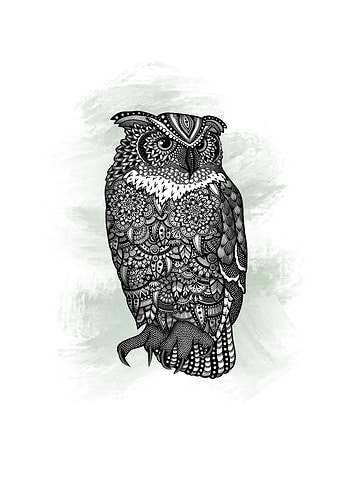 Zentangle Owl