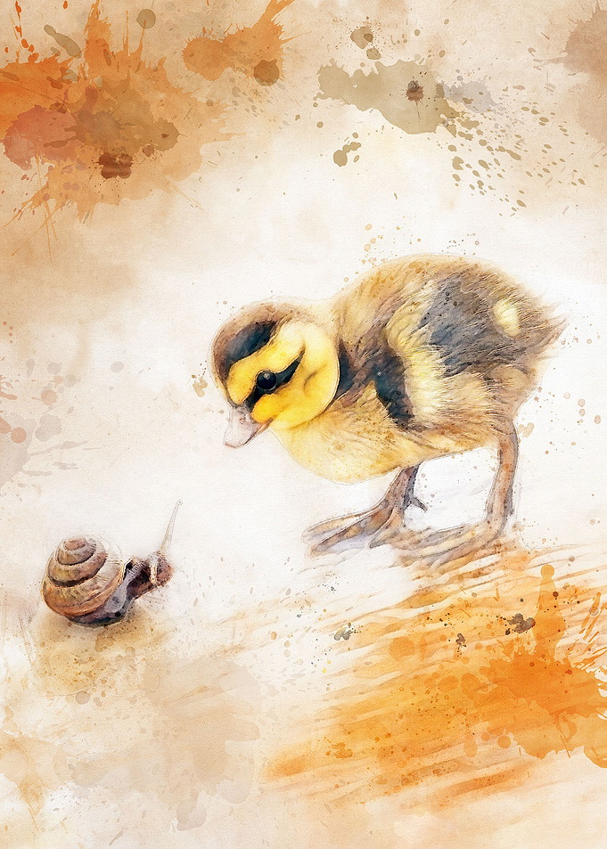 baby chicken