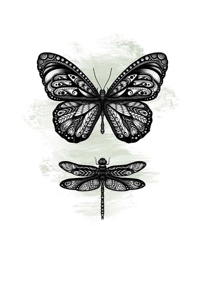 Zentangle Butterfly