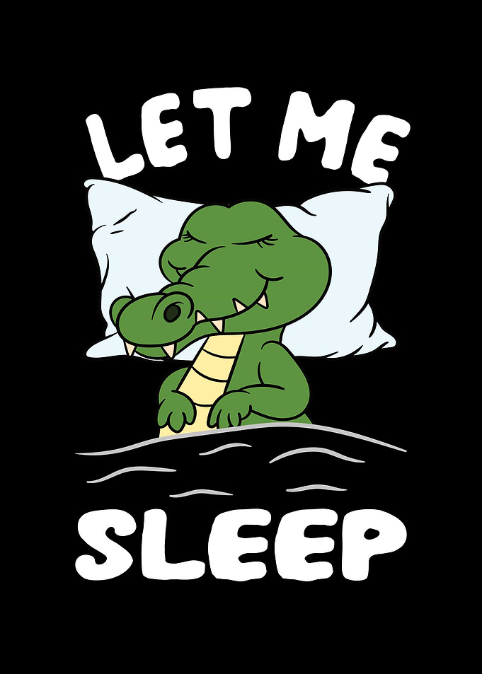 Crocodile Let me sleep