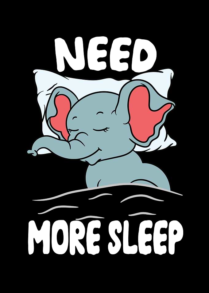 Elephant Need more Sleep