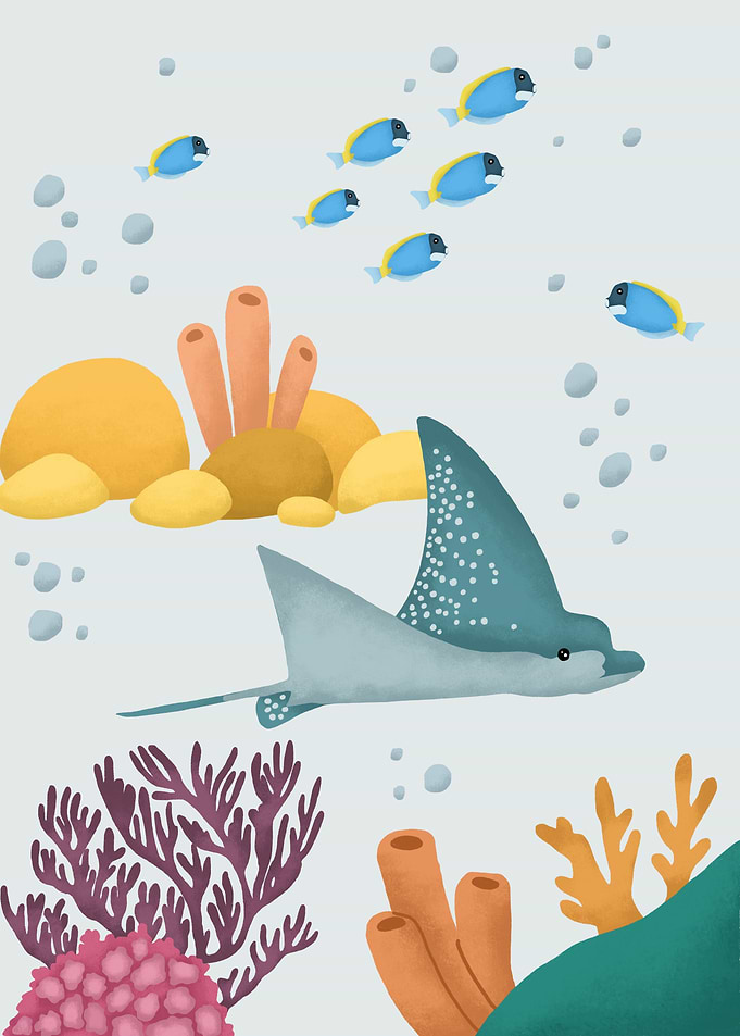 Stringray Animals