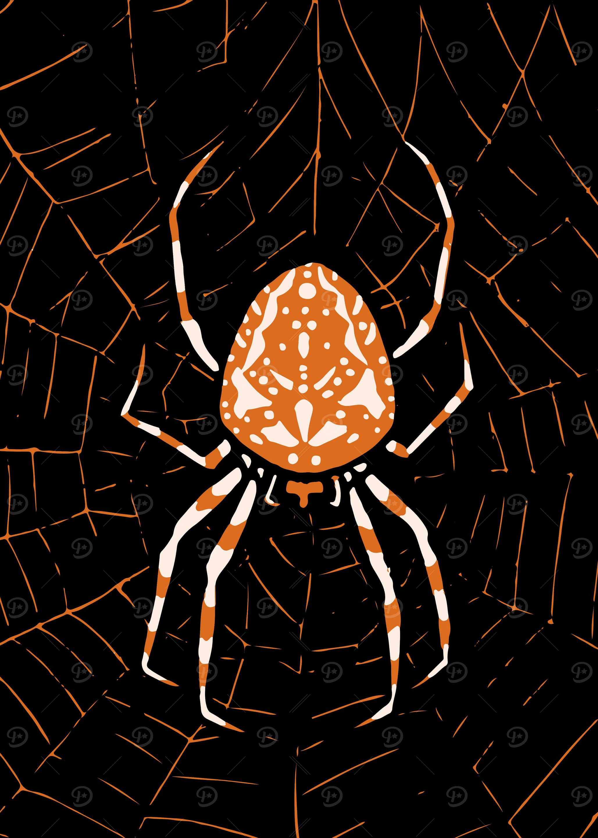 Spider in a Web