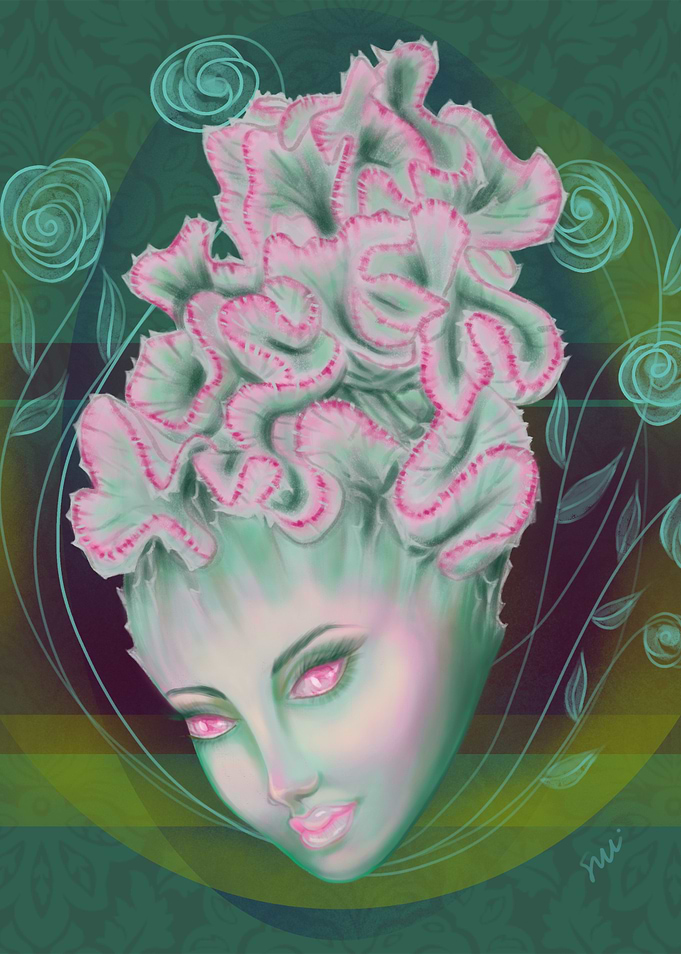 Lady Euphorbia Cristata