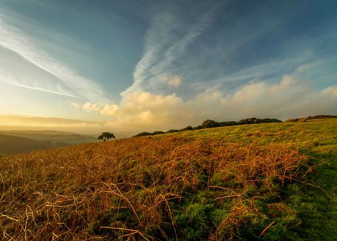 Evening at Mynydd Illtud i