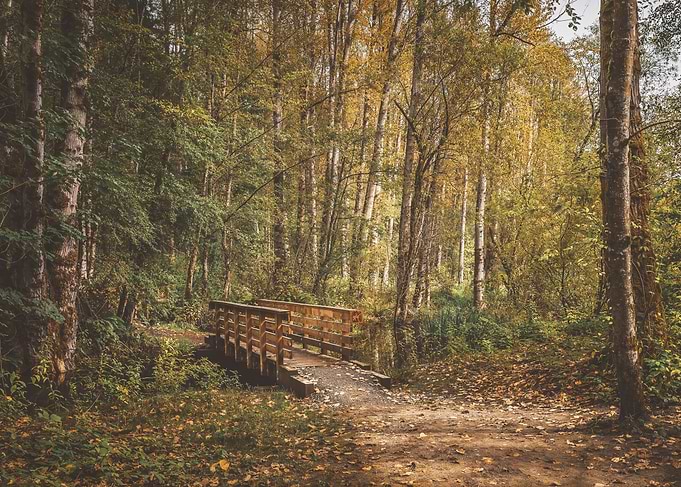 Nostalgic trail
