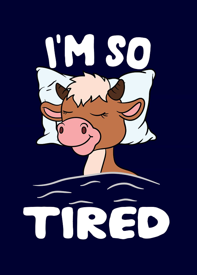 Im so tired Goat sleeping
