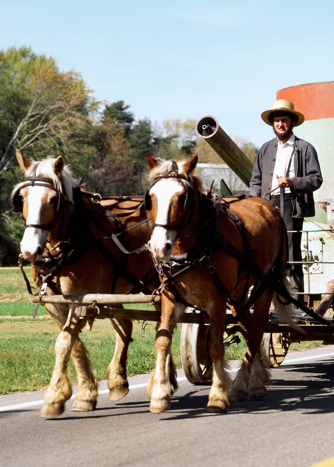 Amish Life