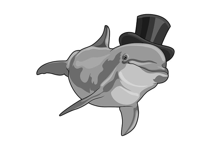 Dolphin Gentleman Top hat