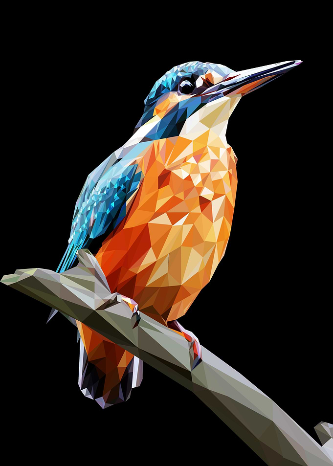 kingfisher bird