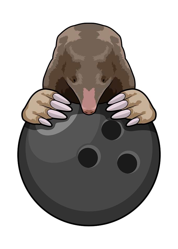 Mole Bowling Bowling pin