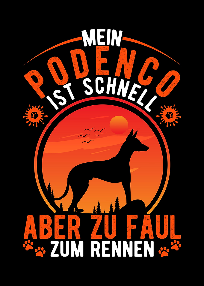 Fauler Podenco Spanischer